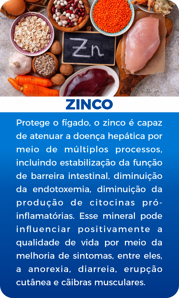 Zinco imagem site